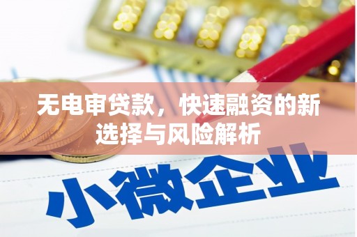 射阳无电审贷款，快速融资的新选择与风险解析