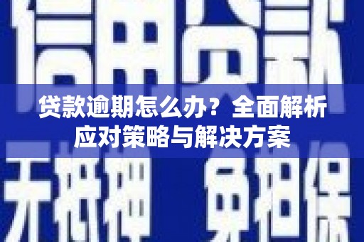 蓝山贷款逾期怎么办？全面解析应对策略与解决方案
