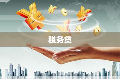 保税港区税务贷