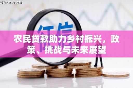 南涧农民贷款助力乡村振兴，政策、挑战与未来展望