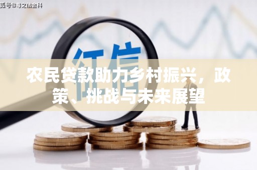岱山农民贷款助力乡村振兴，政策、挑战与未来展望
