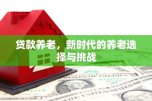 云溪贷款养老，新时代的养老选择与挑战