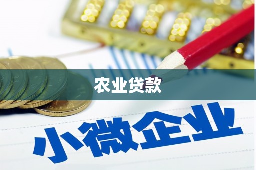 内湖农业贷款