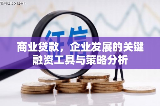 凉城商业贷款，企业发展的关键融资工具与策略分析
