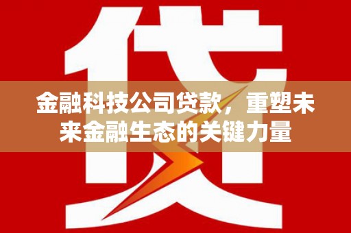 梓官金融科技公司贷款，重塑未来金融生态的关键力量
