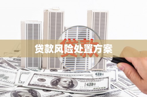 南城贷款风险处置方案