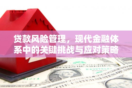 裕安贷款风险管理，现代金融体系中的关键挑战与应对策略