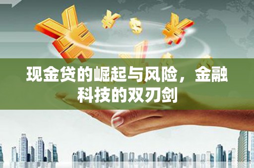 宝兴现金贷的崛起与风险，金融科技的双刃剑