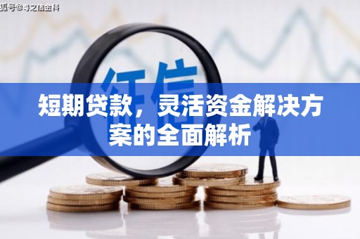 宜宾短期贷款，灵活资金解决方案的全面解析