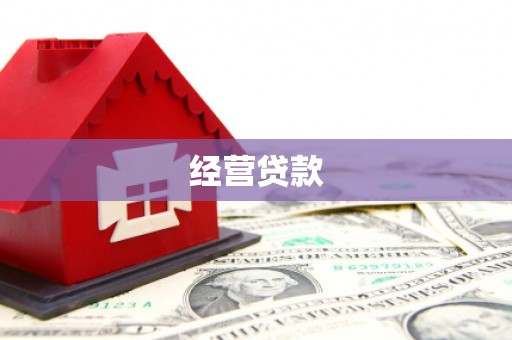 横沥经营贷款