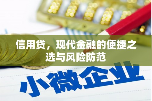 吴起信用贷，现代金融的便捷之选与风险防范