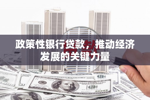 前金政策性银行贷款，推动经济发展的关键力量