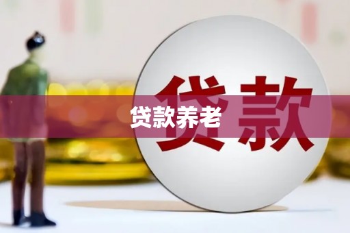 林边贷款养老