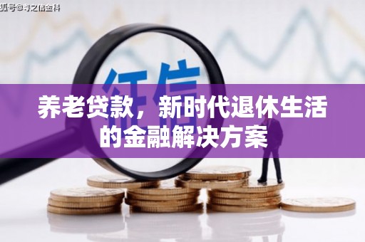 普湾新区养老贷款，新时代退休生活的金融解决方案