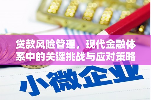 澄江贷款风险管理，现代金融体系中的关键挑战与应对策略