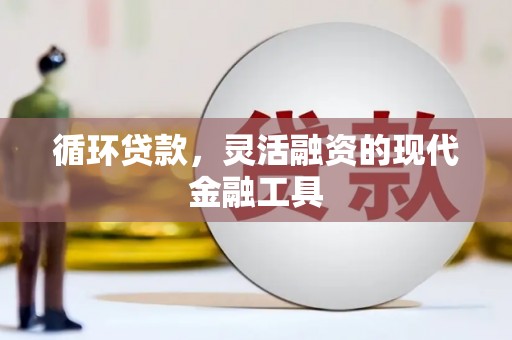 台山循环贷款，灵活融资的现代金融工具