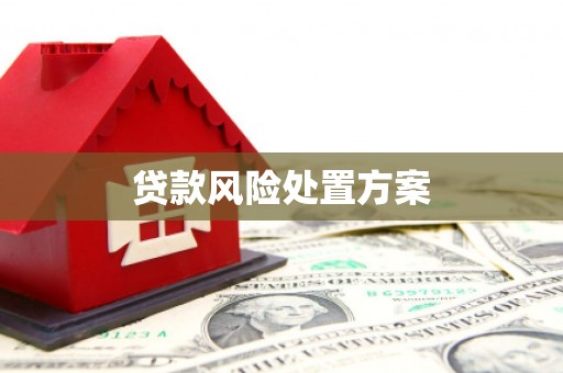 泸县贷款风险处置方案