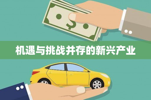墨玉机遇与挑战并存的新兴产业
