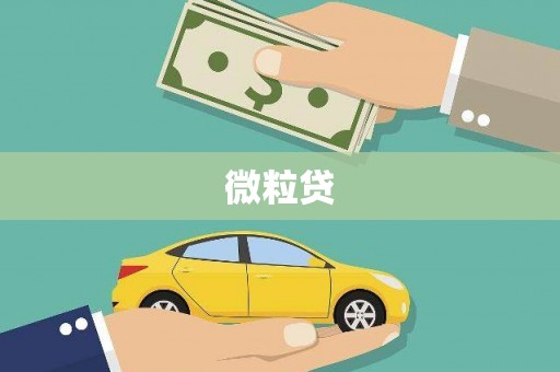 九台微粒贷