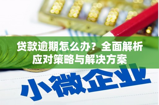 瑞芳贷款逾期怎么办？全面解析应对策略与解决方案