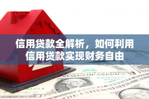 榆树信用贷款全解析，如何利用信用贷款实现财务自由