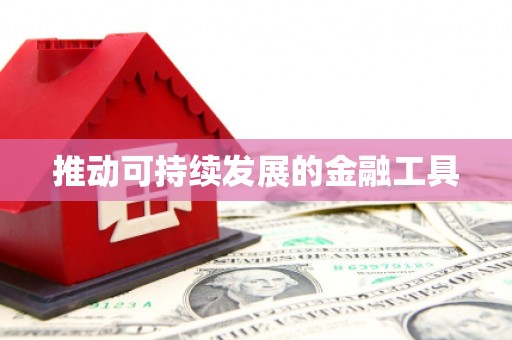 白山推动可持续发展的金融工具