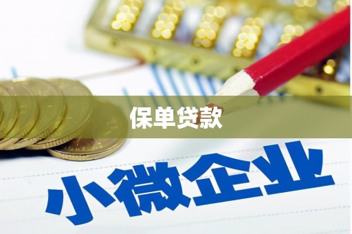 隆回保单贷款 隆回保单贷款